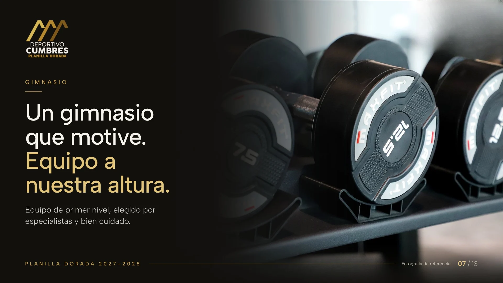 Fotografía de referencia en acercamiento: mancuernas negras ordenadas en un rack de gimnasio.