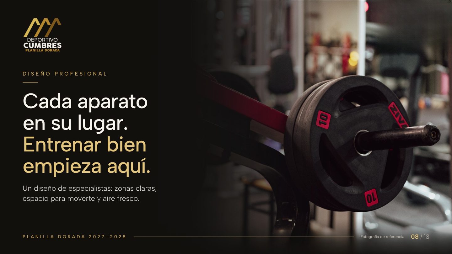 Fotografía de referencia en acercamiento: discos de pesas montados en una máquina de fuerza.