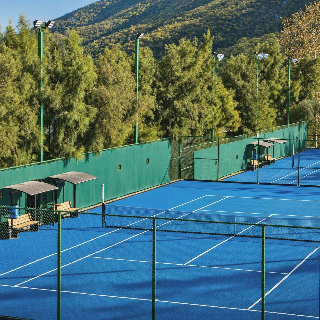Canchas de tenis de superficie dura color azul, con lonas verdes y pinos detrás.